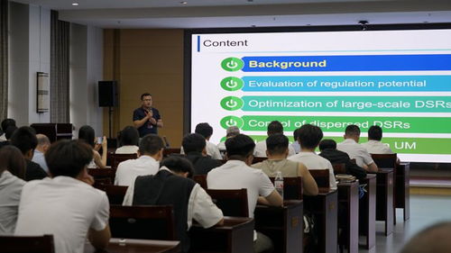 匯聚青春智慧，共繪能源未來——16位青年專家共話新型電力系統技術創新